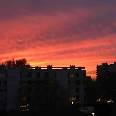 Bord De Loire - Ile De *