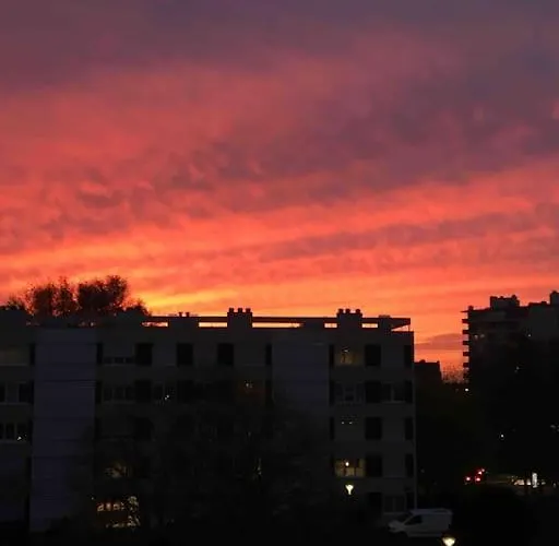 Bord De Loire - Ile De *